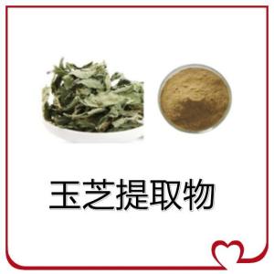玉芝提取物 10:1 