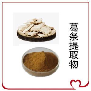 水溶葛条提取物 药食同源 水溶性好
