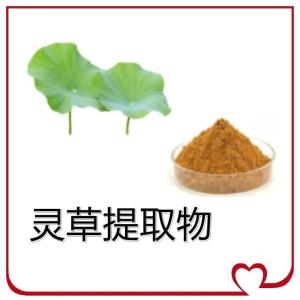 水溶  10:1   灵草提取物