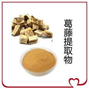 葛藤提取物      葛藤黄酮