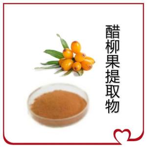 醋柳果提取物   10:1
