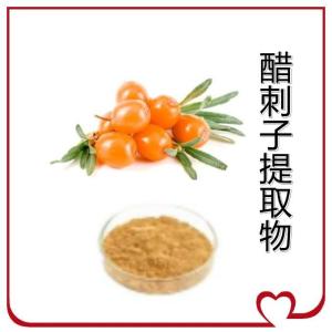 醋刺子提取物 比例产品 规格齐全