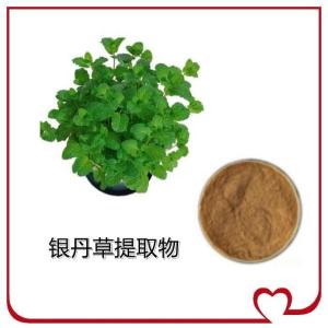 银丹草提取物  现货 植物提取 药食同源