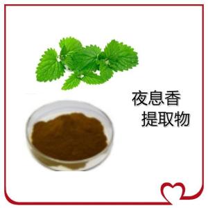 夜息香提取物 10:1