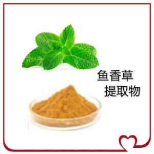鱼香草提取物 鱼香草浸膏