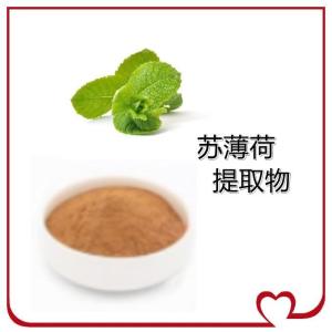 苏薄荷提取物 喷雾干燥法