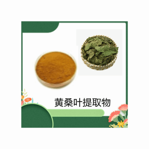 黄桑叶提取物10:1比例提取水溶粉
