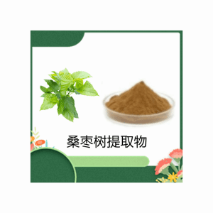 桑枣树叶提取物      植物原料