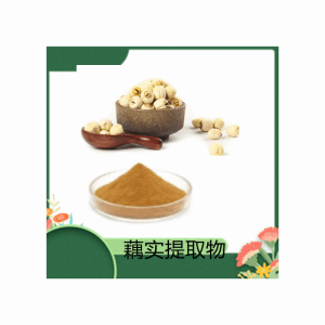 藕实提取物10：1 规格可定制