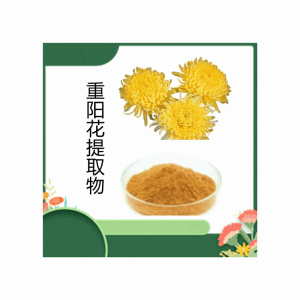 重阳花提取物10:1
