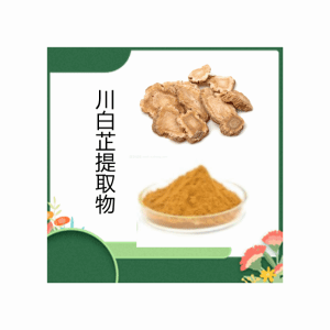 川白芷提取物10:1速溶川白芷粉 食品原料