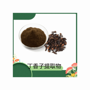 丁香子提取物   规格可定制