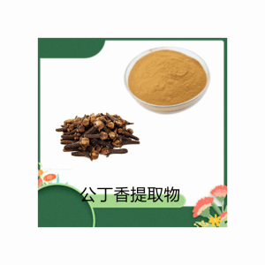 公丁香提取物 喷雾干燥 浓缩 10:1