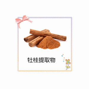 牡桂提取物 10:1