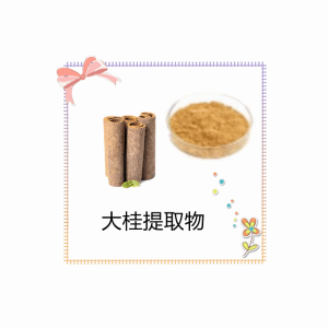 大桂提取物10:1速溶大桂粉  水溶性粉末 食品级原料