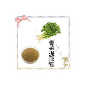 香菜提取物10-1 香菜粉