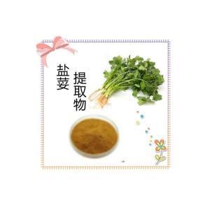 盐荽提取物 10:1速溶盐荽粉