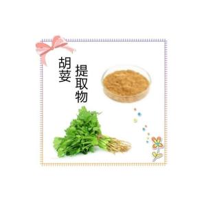 胡荽提取物 胡荽粉 10:1量大从优