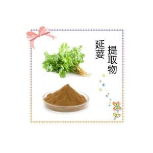 延荽提取物 水溶性好 可定制