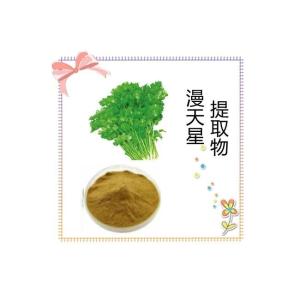 漫天星提取物 漫天星提取液  浸膏