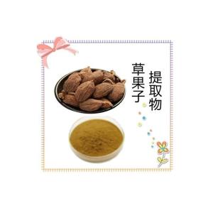 草果子提取物 草果子粉10:1