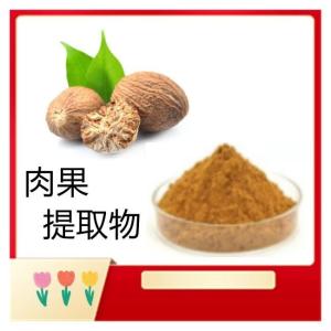 肉果提取物10：1 肉果粉 植物提取物