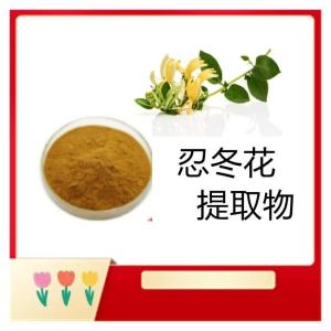 忍冬花提取物