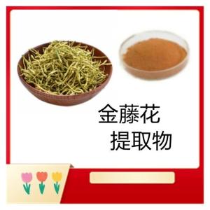 金藤花提取物10:1 规格可定制