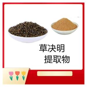 草决明提取物   植物提取物 可定制 多种规格