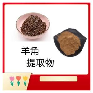 羊角提取物   10:1  植物提取