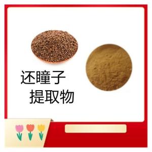 还瞳子提取物10-1 还瞳子粉