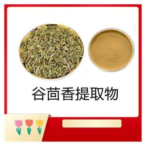 谷茴香提取物 库存充足 源头供应