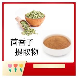 茴香子提取物   厂家