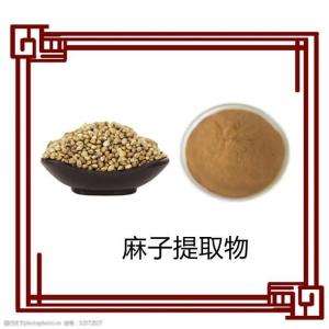 麻子提取物   麻子蛋白粉