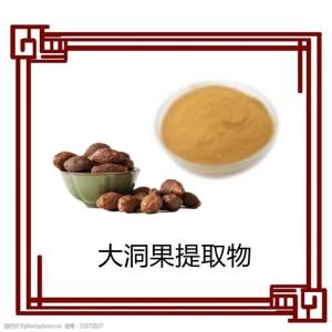 大洞果提取物   大洞果粉 量大从优