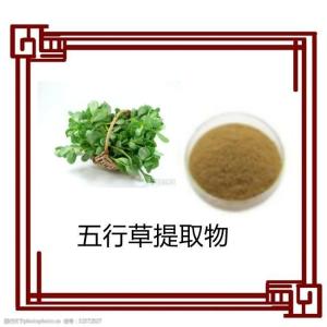 五行草提取物    供应可定制 源头供应