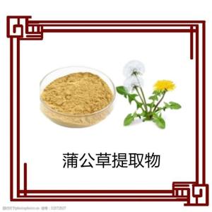 蒲公草提取物 黄酮 厂家直销 量大从优