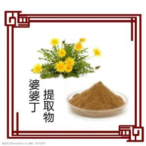 婆婆丁提取物   量大从优