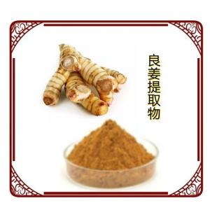 良姜提取物10:1
