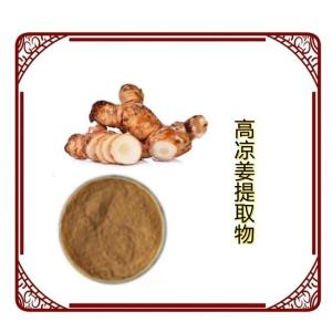 高凉姜提取物 10:1 多规格