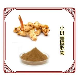 小良姜提取物10:1比例萃取