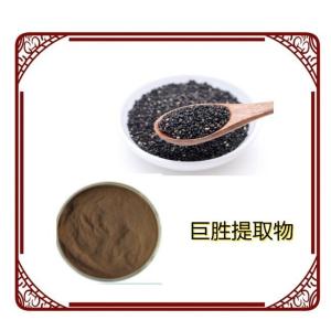 巨胜提取物10：1 植物提取物 喷雾干燥粉