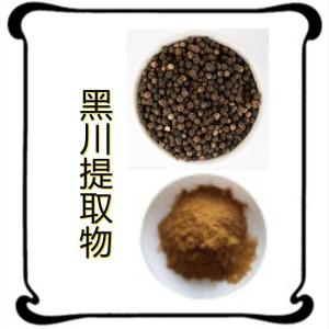 黑川提取物 比例产品 规格齐全