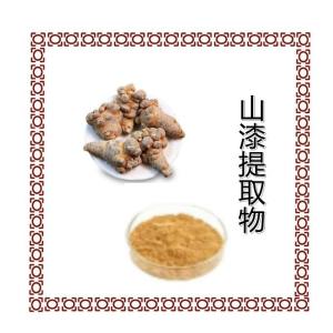 山漆提取物   速溶浓缩粉    食品原料工厂