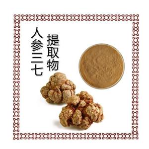 人参三七提取物10:1    人参三七粉