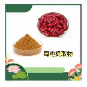 蜀枣提取物 比例产品 规格齐全