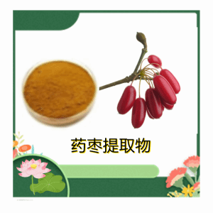 药枣提取物10-1 药枣粉  水溶 浸膏