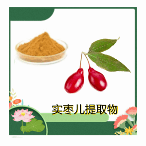 实枣儿提取物10-1水溶实枣儿粉 食品原料 资质齐全含运