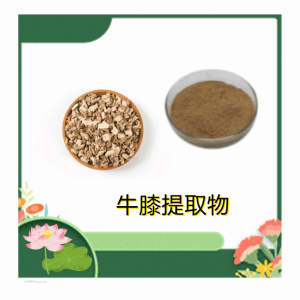 牛膝提取物 10:1规格 全国包邮
