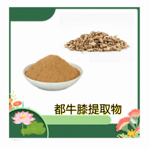 都牛膝提取物 植物提取 水溶 食品级原料 多种规格 现货包邮